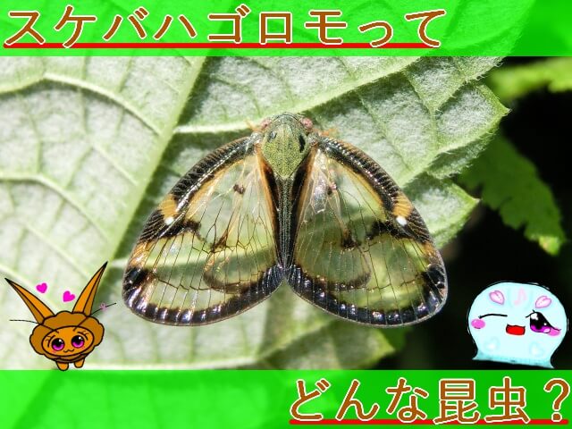 Thumbnail of post image 009